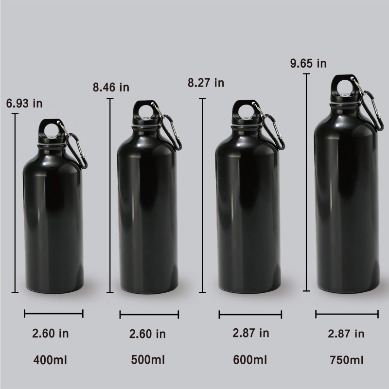 Custom Logo Insulated Sport Bottle 500/750ml with Carabiner