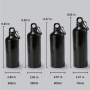 Custom Logo Insulated Sport Bottle 500/750ml with Carabiner