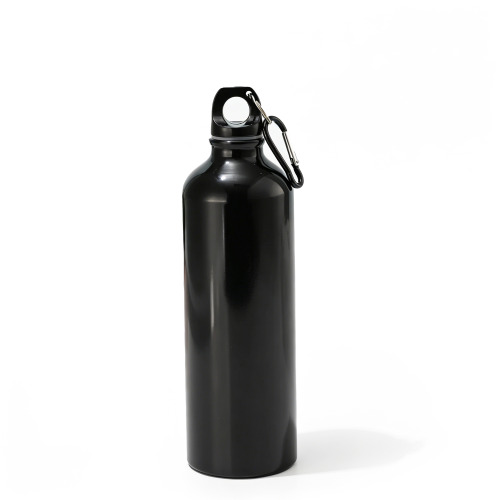 Custom Logo Insulated Sport Bottle 500/750ml with Carabiner Custom Logo Insulated Sport Bottle 500/750ml with Carabiner