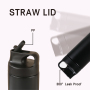 550ml 304 Stainless Steel Insulated Flask with Straw Lid