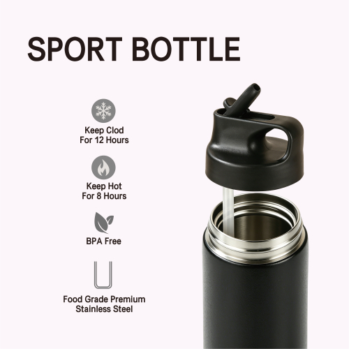 550ml 304 Stainless Steel Insulated Flask with Straw Lid