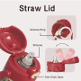 BPA-Free Tritan Kids Water Bottle 450ml Straw for School