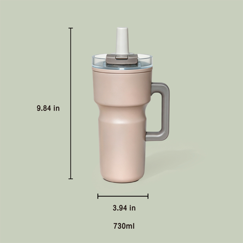 20oz Insulated Stainless Steel Water Bottle with Straw