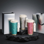 520ml Luxury Classic Design Business Gifts Water Bottle Double-Layered Pure Titanium Vacuum Insulated Coffee Mug for Office