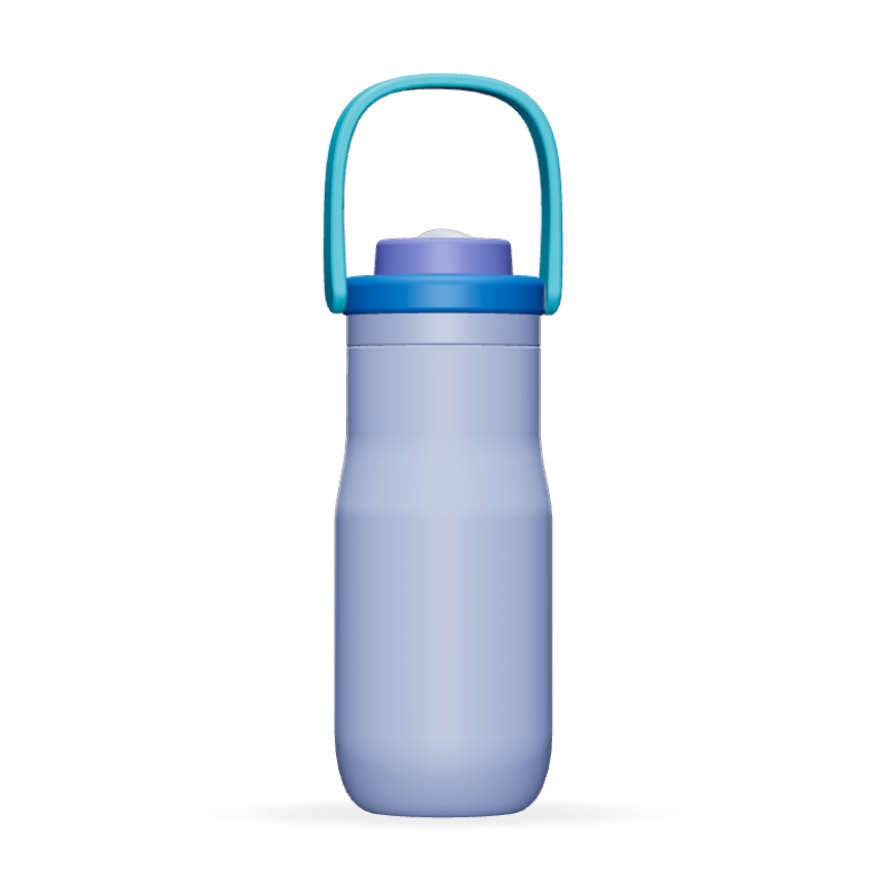 21oz Customizable 304 Stainless Steel Insulated Water Bottle With Carry Handle & Straw Lid