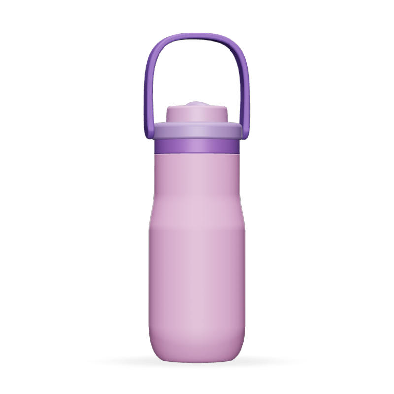 21oz Customizable 304 Stainless Steel Insulated Water Bottle With Carry Handle & Straw Lid