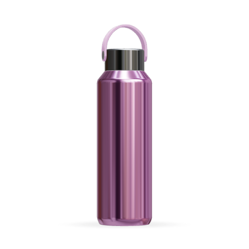 24oz Double Wall Insulated Stainless Steel Water Bottle