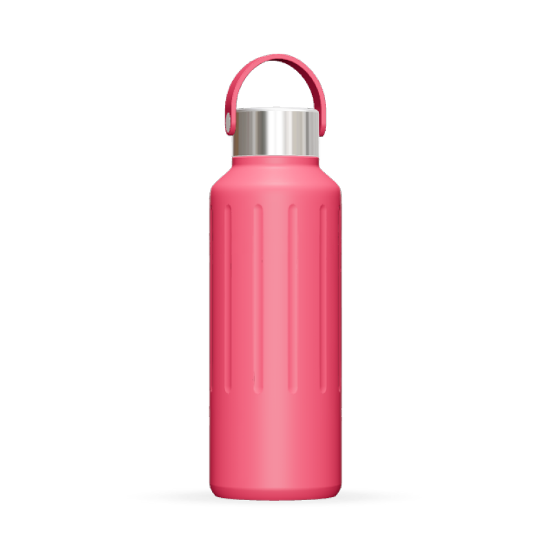 27oz Vacuum Insulated Stainless Steel Water Bottle - Tall