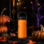 20oz Customizable 304 Stainless Steel Vacuum Insulated Water Bottle With Portable Loop Handle