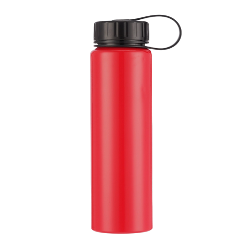 22oz BPA-Free Aluminum Water Bottle with Contrast Screw Cap