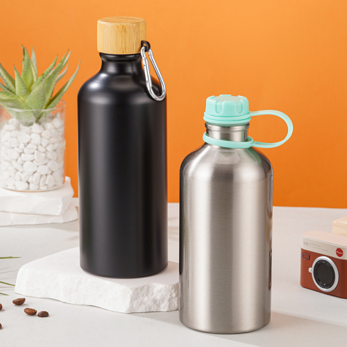 17oz Outdoor Loop-handle-lid Insulated Stainless Steel Water Bottle