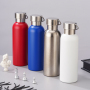 25oz Stainless Steel Water Bottle, Sports Handle, Leak-Proof