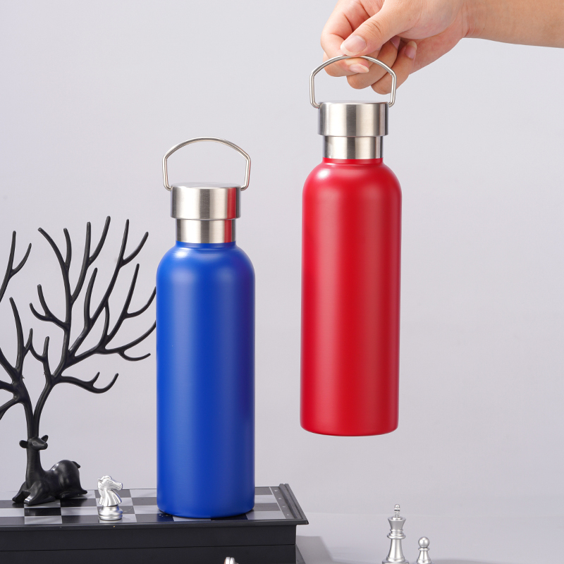 25oz Stainless Steel Water Bottle, Sports Handle, Leak-Proof