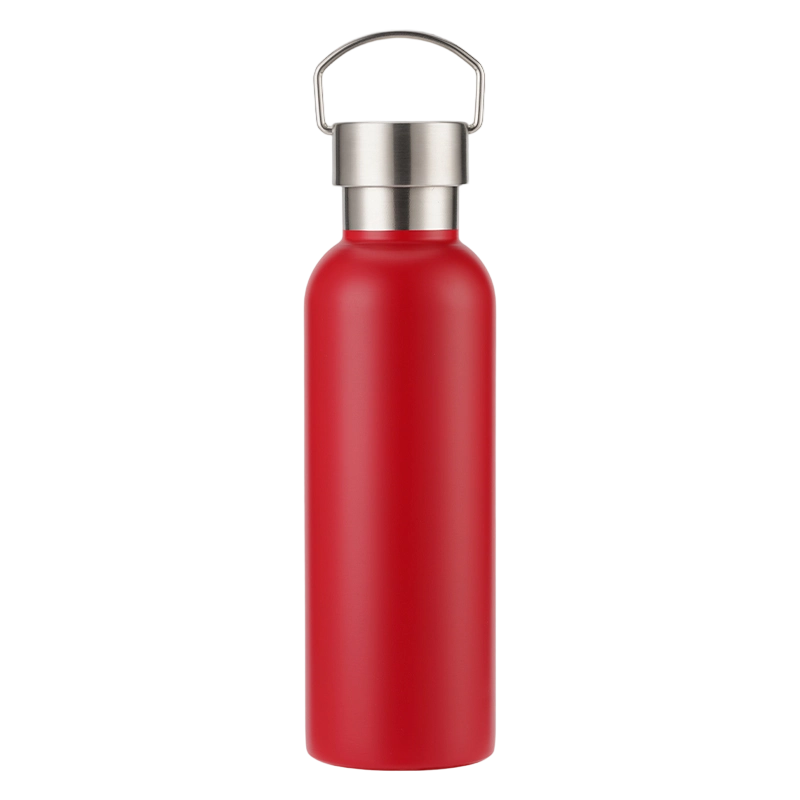 25oz Stainless Steel Water Bottle, Sports Handle, Leak-Proof