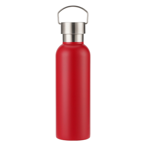 25oz Stainless Steel Water Bottle, Sports Handle, Leak-Proof