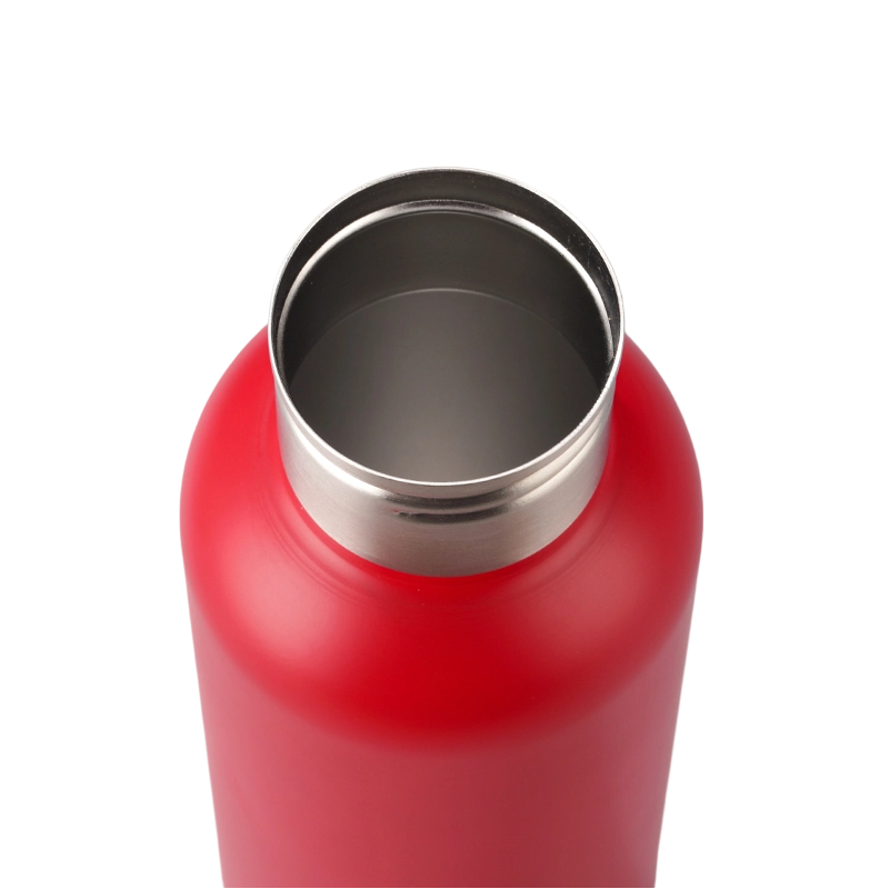 25oz Stainless Steel Water Bottle, Sports Handle, Leak-Proof