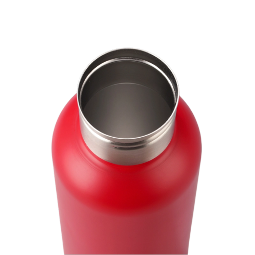 25oz Stainless Steel Water Bottle, Sports Handle, Leak-Proof
