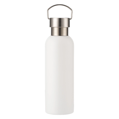 25oz Stainless Steel Water Bottle, Sports Handle, Leak-Proof