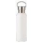 25oz Stainless Steel Water Bottle, Sports Handle, Leak-Proof