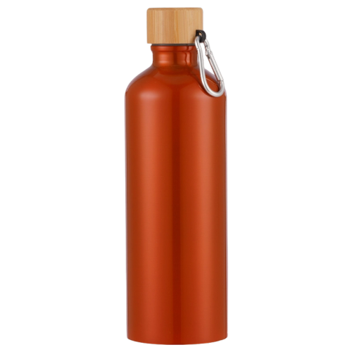 25oz Stainless Steel Insulated Bottle Bamboo Lid Carabiner
