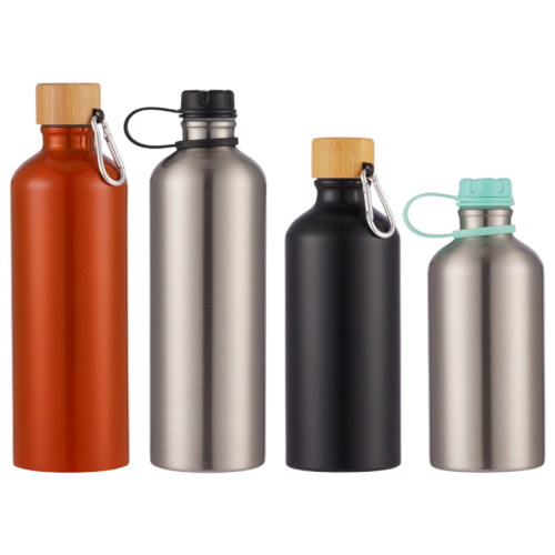 25oz Outdoor Loop-handle-lid Insulated Stainless Steel Water Bottle
