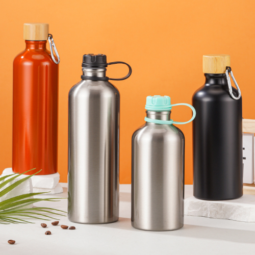 25oz Outdoor Loop-handle-lid Insulated Stainless Steel Water Bottle