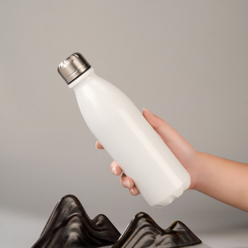 25oz Aluminum Sports Bottle Twist Cap BPA-Free Leak-Proof