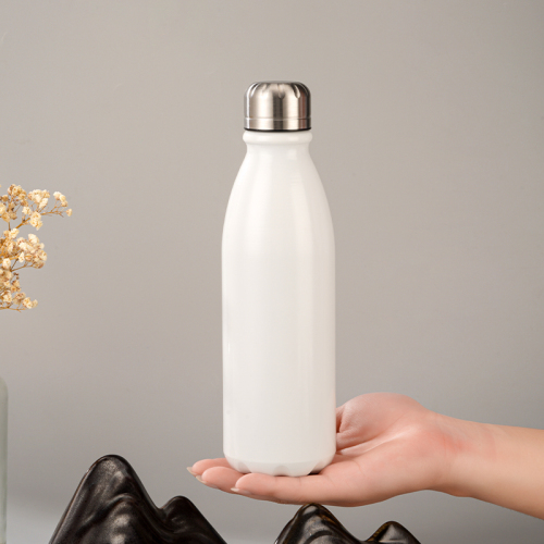 25oz Aluminum Sports Bottle Twist Cap BPA-Free Leak-Proof