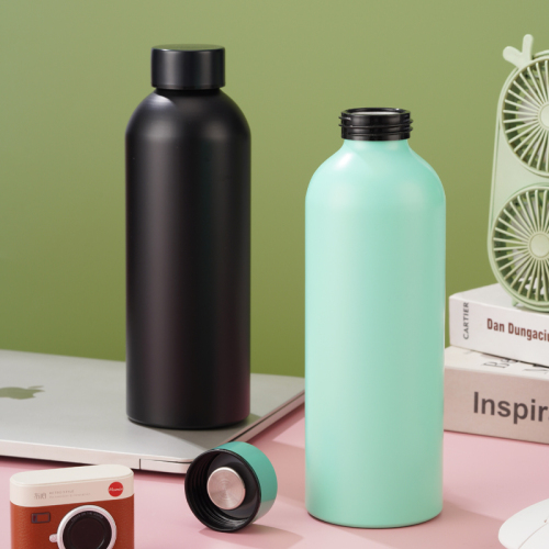 Matte 25oz Aluminum Water Bottle - BPA-Free with Screw Cap