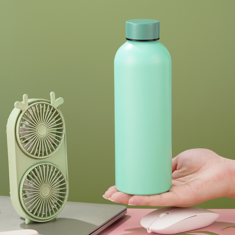 Matte 25oz Aluminum Water Bottle - BPA-Free with Screw Cap