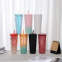 Custom BPA Free 24oz Plastic Double Wall Cup Mixed Colors Reusable Water Cup Double Wall Plastic Cup with Straw