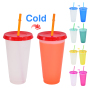 REUSABLE 25oz Plastic Cups Single Layer Cold Color Change Changing Personalization Tumbler Mugs Food Grade PP