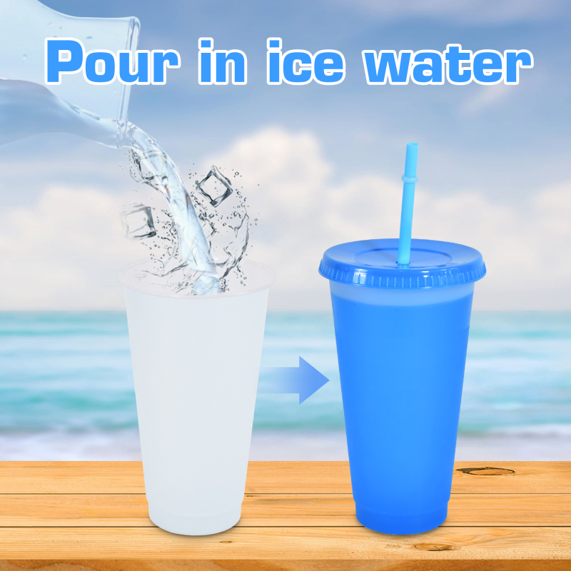 REUSABLE 25oz Plastic Cups Single Layer Cold Color Change Changing Personalization Tumbler Mugs Food Grade PP