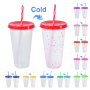 REUSABLE 25oz Plastic Cups Single Layer Cold Color Change Changing Personalization Tumbler Mugs Food Grade PP