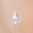 Rabbit 1
