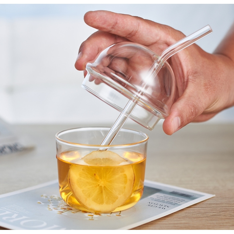 15oz High Quality Cute Clear Glass Cups with Lid and Straw Coffee Milk Tea Water Tumblers Heat Resistant Drinking Glasses Bottle