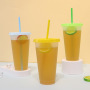 New 24oz Clear Plastic Tumbler with Lids and Straws Reusable Cups Water Bottle Cute Cold Cups for Iced Coffee