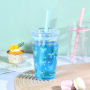 New 450ml Tumbler Cup Single Wall Tumbler Reusable Plastic Coffee Mug with Lids and Colored Straw