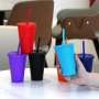 Solid Color Single Wall 16oz Reusable pp Cold Water Drink Coffee Mug Tumbler Plastic Cups with Lids and Straws