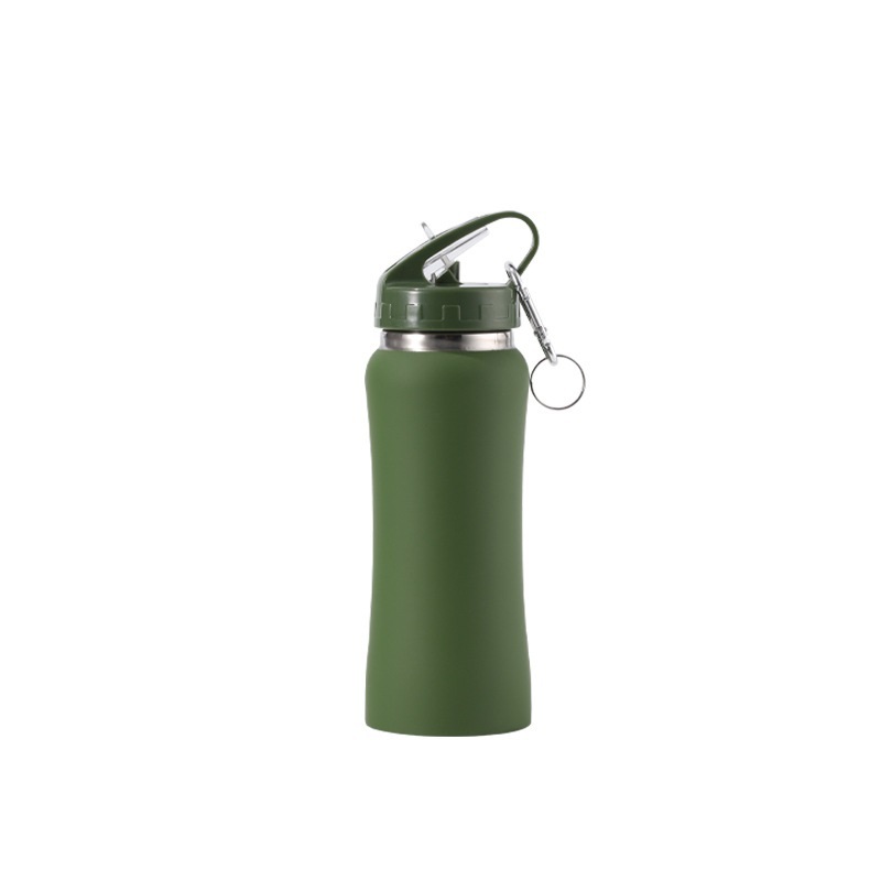 Double Wall Stainless Steel 304 Bottle 350ml 500ml 750ml Laser Engraved Logo Insulated Water Bottle With Handle Straw Carabiner