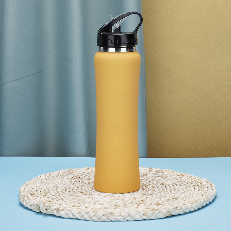 Double Wall Stainless Steel 304 Bottle 350ml 500ml 750ml Laser Engraved Logo Insulated Water Bottle With Handle Straw Carabiner