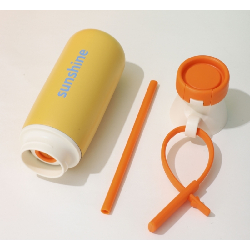 500ml New Custom Logo Stainless Steel Insulated Sports Gym Water Bottle Nice Gift Tumblers with Handle and Straw