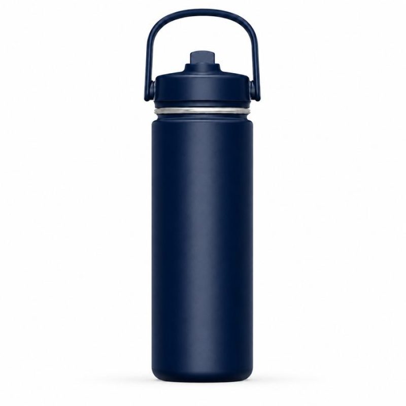 540ml Insulated Sports Water Bottle with Straw Lid & Carry Handle