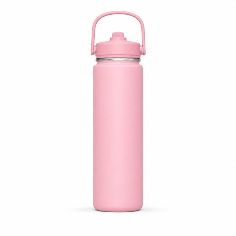 720ml Insulated Sports Water Bottle with Straw Lid & Carry Handle