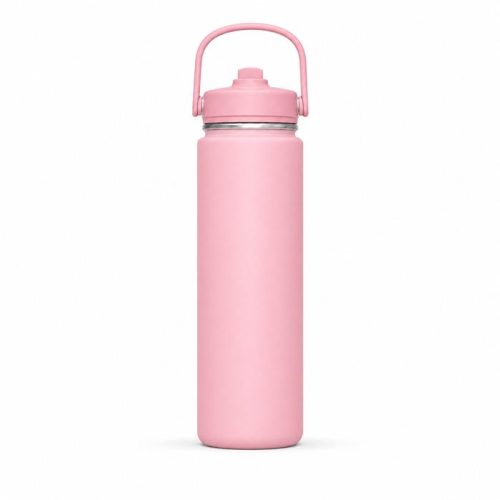 720ml Insulated Sports Water Bottle with Straw Lid & Carry Handle