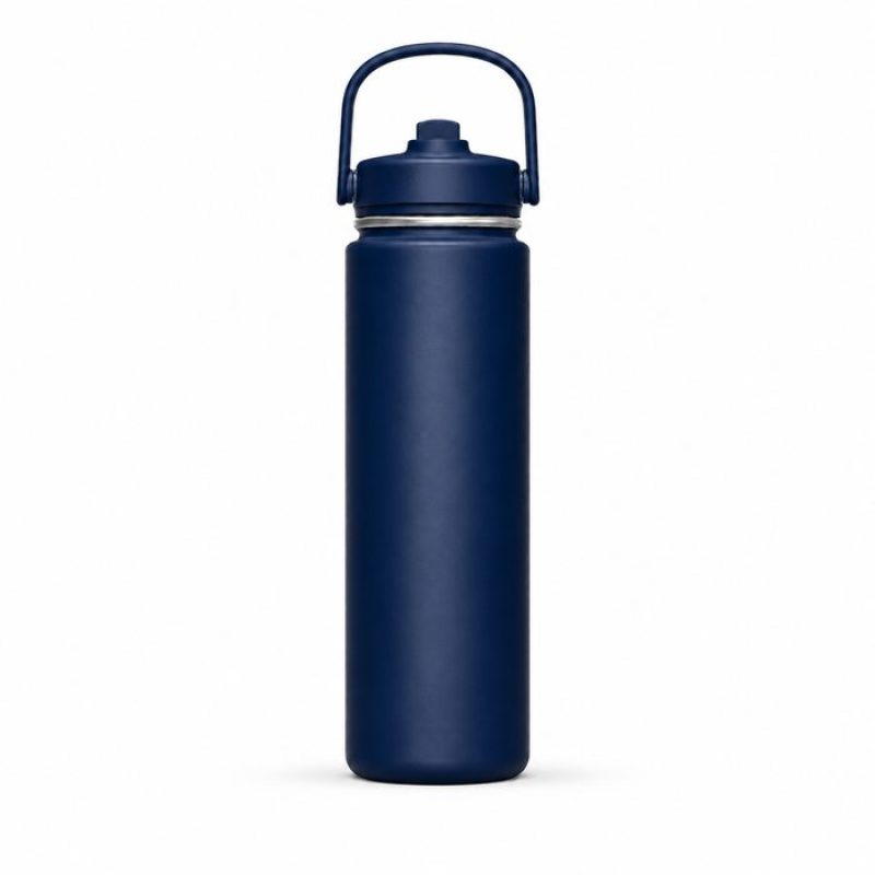 720ml Insulated Sports Water Bottle with Straw Lid & Carry Handle
