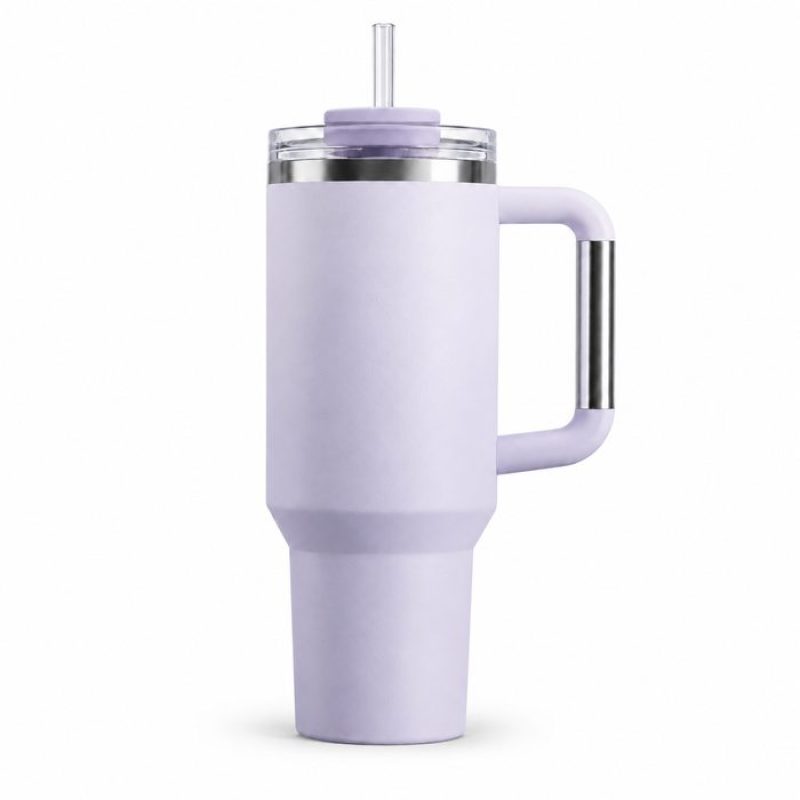 30 oz Insulated Stainless Steel Tumbler with Handle, 2-in-1 Straw and Sip Lid, 900ml Travel Coffee Mug, Car Cup Holder Friendly Leak-Resistant Water Bottle