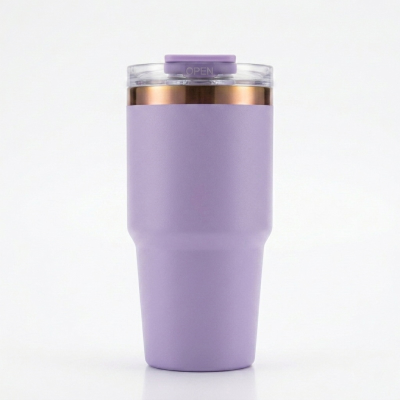 600ml Portable Travel Tumbler 2-in-1 Lid Sip & Straw BPA Free Vacuum Insulated Cup