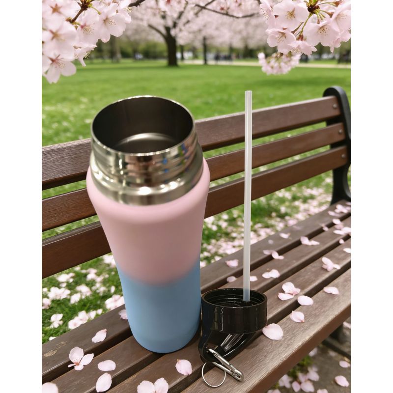 Fashion Stainless Steel Water Bottle with Straw Lid  Insulated Portable Drink Bottle with Carabiner for Outdoor, Gym and Picnic