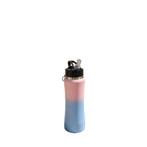 Fashion Stainless Steel Water Bottle with Straw Lid Insulated Portable Drink Bottle with Carabiner for Outdoor, Gym and Picnic Fashion Stainless Steel Water Bottle with Straw Lid Insulated Portable Drink Bottle with Carabiner for Outdoor, Gym and Picnic